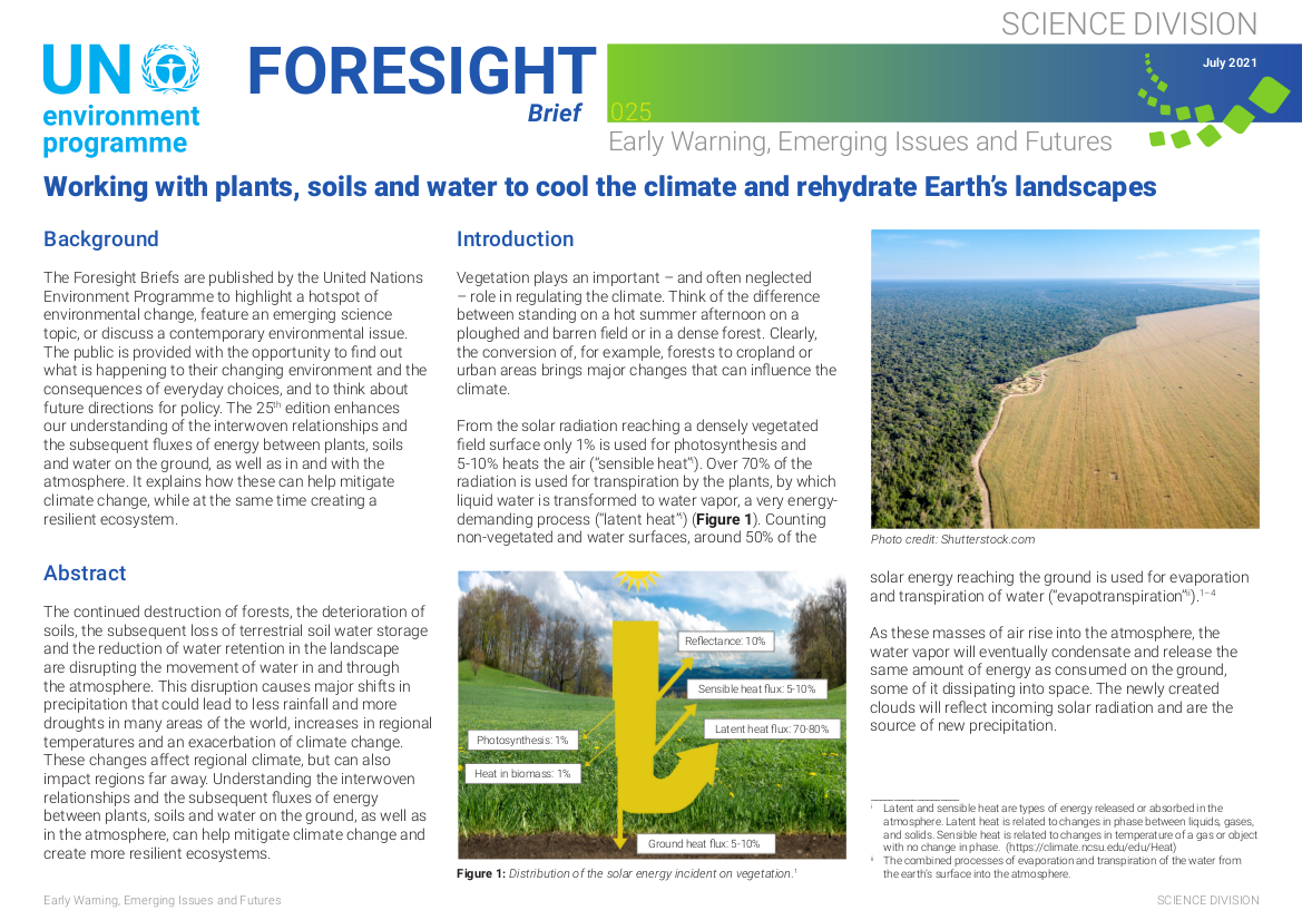 New Foresight Brief byUNEP/GRID-Geneva about the role of plants, soils and water to cool the climate and rehydrate Earth’s landscapes
