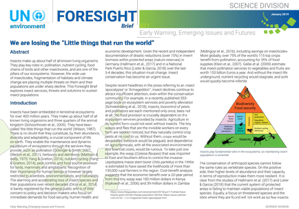 Launch of the new Foresight Brief about insects