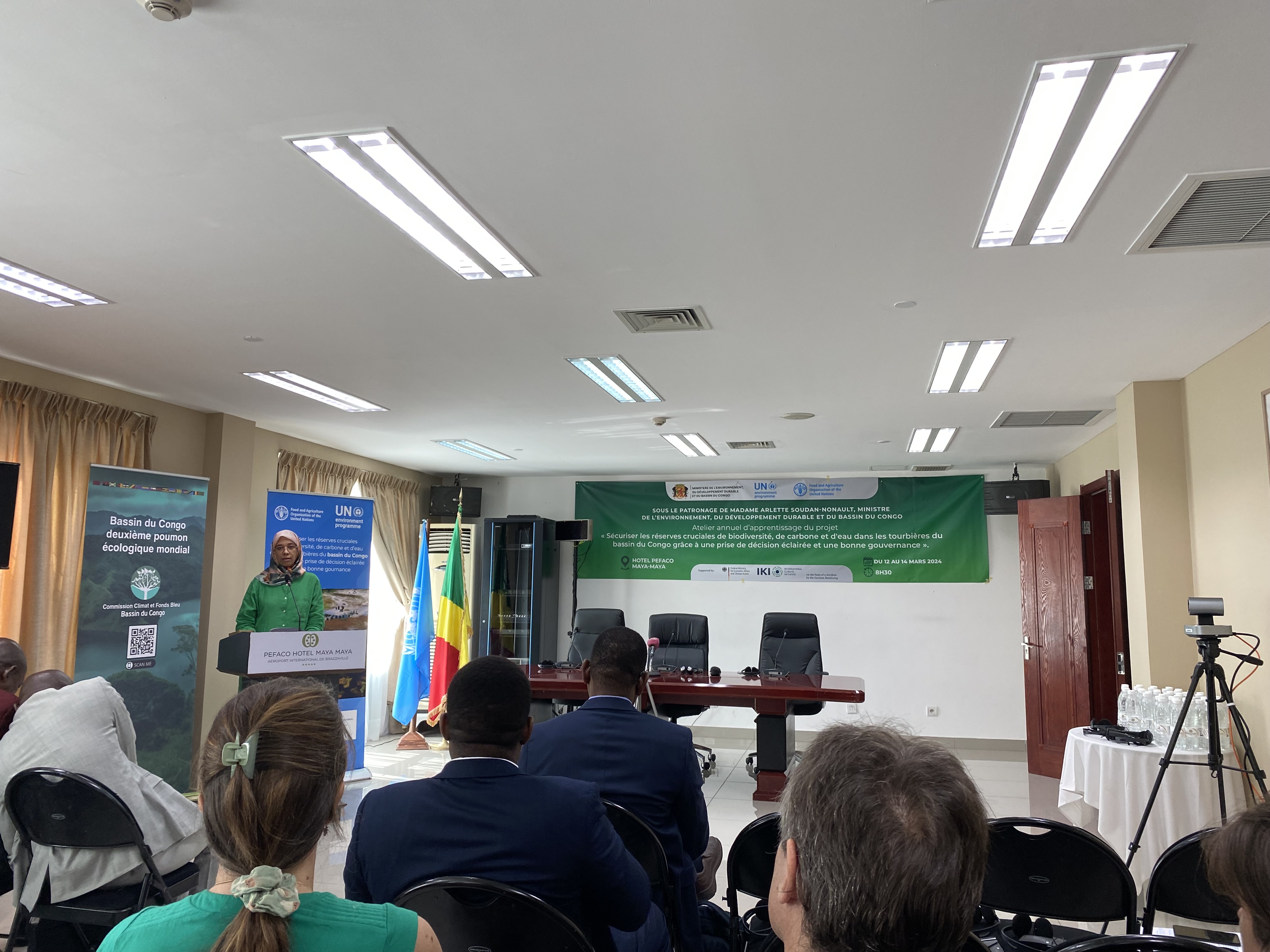 GRID-Geneva participation to the IKI Congo Peatlands annual workshop