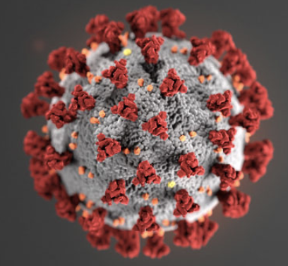 Coronavirus and GRID-Geneva activity