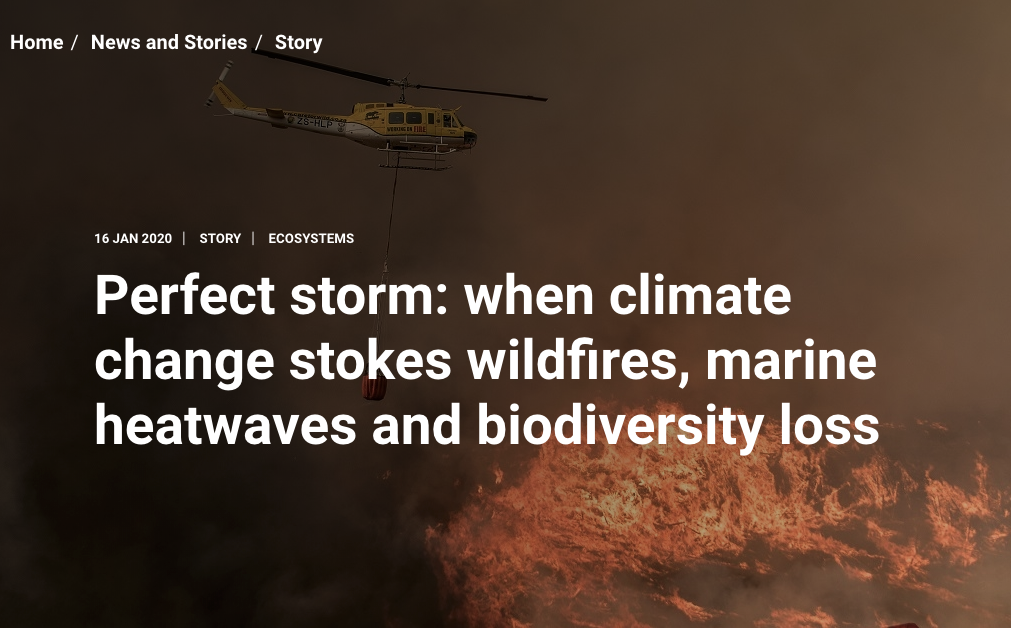 Wildfires-biodiversity story is up on the UNEP website